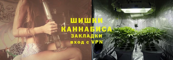 амф Гусь-Хрустальный