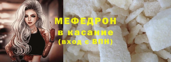 амф Гусь-Хрустальный