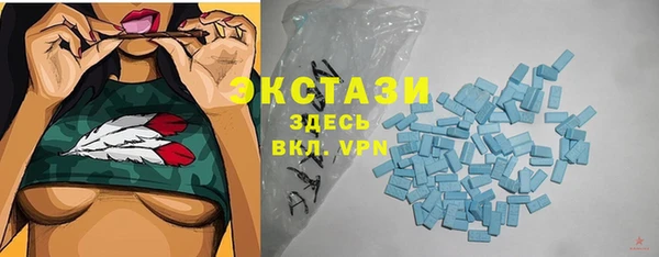 амф Гусь-Хрустальный