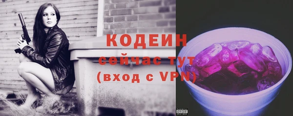 шишки Гусев