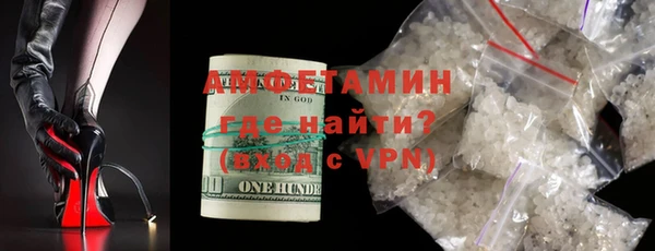 амф Гусь-Хрустальный