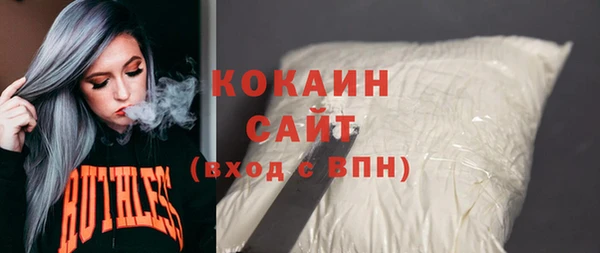 амф Гусь-Хрустальный