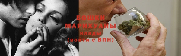 амф Гусь-Хрустальный