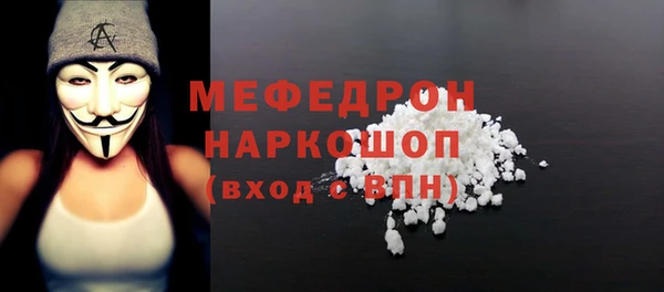 амф Гусь-Хрустальный