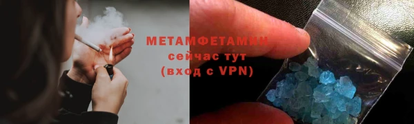 шишки Гусев