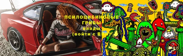 шишки Гусев