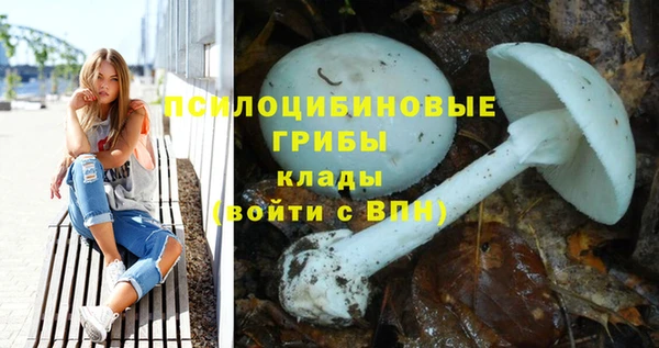 шишки Гусев