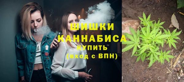 шишки Гусев