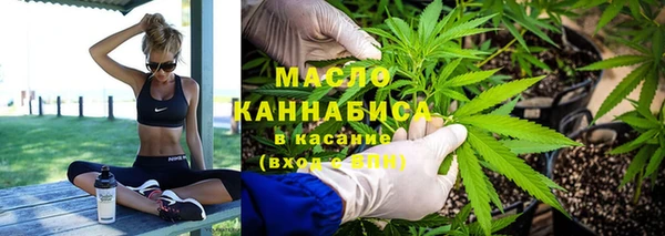 шишки Гусев