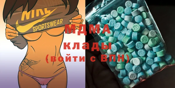шишки Гусев