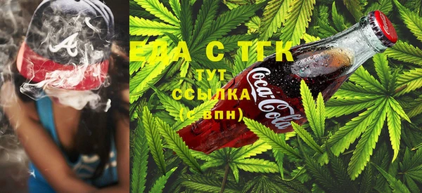 шишки Гусев