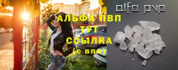 амф Гусь-Хрустальный
