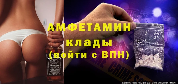 амф Гусь-Хрустальный