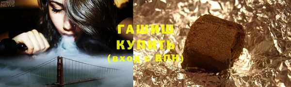 шишки Гусев