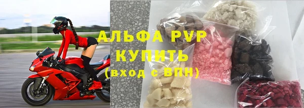 шишки Гусев