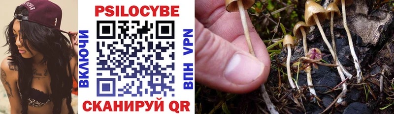 Псилоцибиновые грибы Cubensis  Юрюзань 